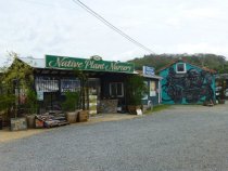 Native Plant Nursery exterior, 2016