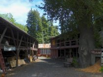 Mill Valley Lumber Yard lumber storage area, 2016