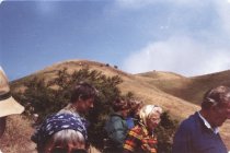 Robert Cook Bench Dedication, 1980