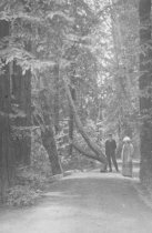 John Finn and Eva Ann Chamberlain Finn, date unknown