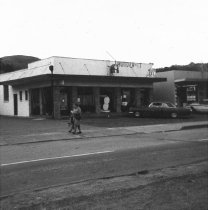 Miller Avenue Locust Area, 1970
