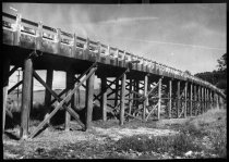 Trestle over the marshland, 1952