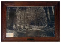Framed black and white photo enlargement of Muir Woods
