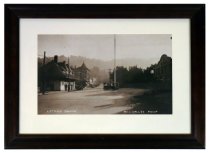 Framed black and white photo enlargement of Muir Woods