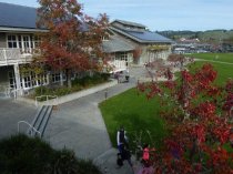 Mill Valley Community Center patio, 2016