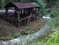 Old Mill Park and Old Mill Creek, 2017