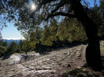 Mountain Theatre, 2017