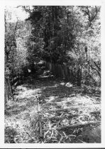 Public steps next to 60 Summit Ave, circa 1982