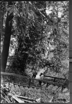 Miller Lane/Brown's Lane/Jacob's Ladder, date unknown