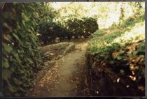 Windsor Lane, date unknown