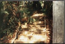 Path from Walnut to Catalpa, date unknown