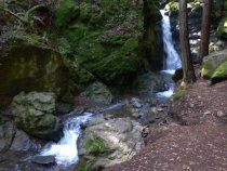 Cascade Falls and Creek, 2017