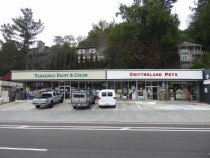 Miller Avenue (numbers 336 & 338) commercial building, 2017