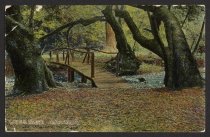 Laurel Grove, Muir Woods