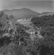 Photo of marshlands and Mt. Tamalpais, circa 1930's