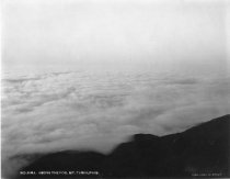 Above the Fog, Mt. Tamalpais, No. 8 MA, circa early 1900s