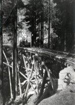 Gravity car coasting down Mount Tamalpais to Muir Woods, circa 1909