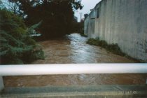 The 2005 Mill Valley flood looking down Sycamore to La Goma, 12/30/2005