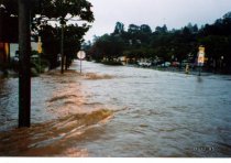 The 2015 Mill Valley flood-creek looking back at La Goma St., 12/30/2015