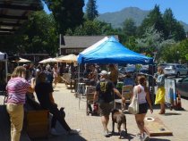 Mill Valley Lumber Yard band in courtyard, 2019