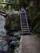 Steep Ravine trail ladder, 2018