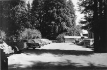 Photograph of downtown midtown Mill Valley, 08/08/1952
