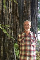 Terry Haggerty, by Debra Schwartz