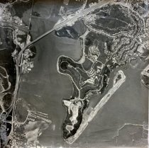 Strawberry, 1965 Strawberry, 1965