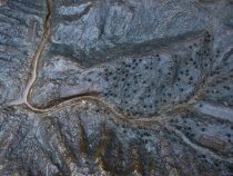 Muir Woods 3D map detail, 2019