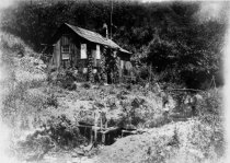 Thaddeus Welch's cabin and water wheel in Steep Ravine, date unknown
