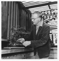 Samuel Newsom landscape artist, circa 1965