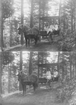 O'Shaughnessey daughters with pony and surrey, circa 1910-1915