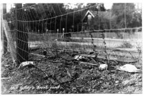 Mill Valley, California