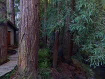 Mill Valley Inn Cabins, 2020