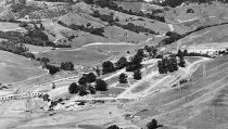 East Blithedale trestle aerial view, 1956