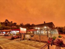 Orange sky on Miller Avenue