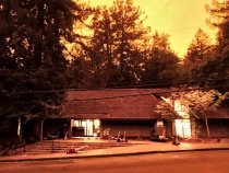 Orange sky outside the Mill Valley Library, 2020