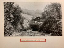 The Old Mill, beginning of Mill Valley was John Reeds sawmill, 1830's