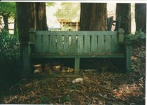 160 Redwood Ave, c.1995