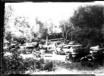Autos in Muir Woods parking lot, circa 1928