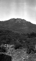 East Peak Mt. Tamalpais from Tamalpais railroad grade, circa 1920.