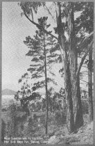 Mount Tamalpais with the City Below