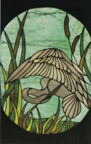 Audubon Canyon Egret