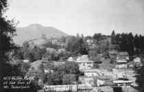At the Foot of Mt. Tamalpais