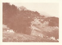 Arriving for the Mountain Play