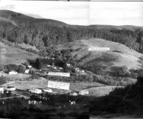 Upper Tam Valley, Little City Farms, 1950