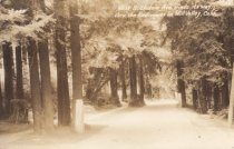 West Blithedale Ave.