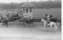 Horse show or horse race in outdoor arena, unknown
