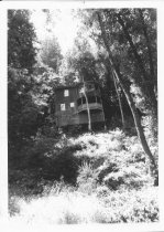 42 Miller Avenue, 1980