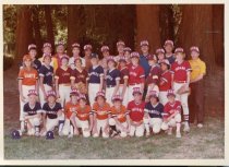 1980 Little League Allstars